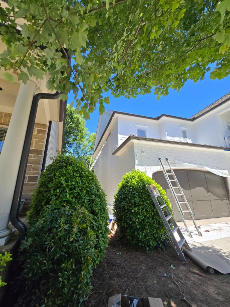 Exterior Painting project by DEAM PAINTING LLC