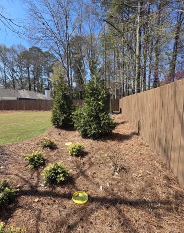 Fence Staining project by DEAM PAINTING LLC