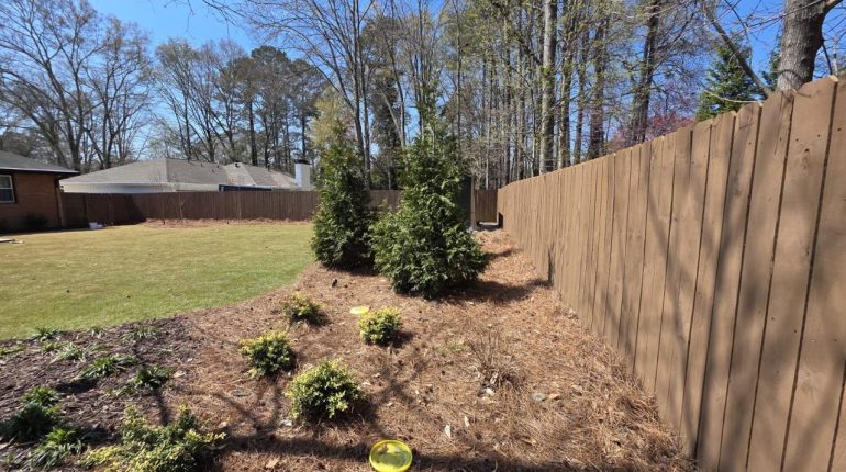 Fence Stain Refresh